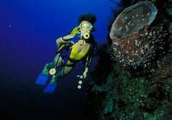 Cuba An Underwater Tourist Paradise